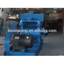 2BEA Vacuum Pump